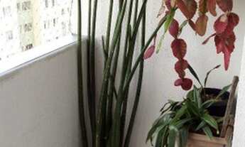 Imagem 5: Apartamento com 4 dormitórios para alugar, 100 m² por R$ 2.500,00/mês - Floradas de São Jo