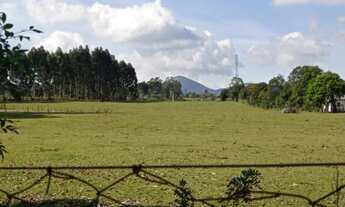Imagem 5: Chácara/ sitio/ área a venda quatro barra