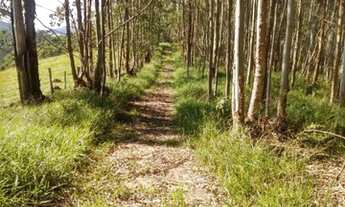 Imagem 3: MD. Entrega De Chácara Pronta na Chave!