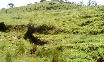 Imagem 7: área rural, 400.000m2, São Pedro de Alcântara/SC