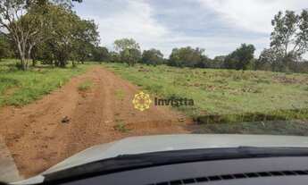 Imagem 4: Fazenda à venda, 575 Hectares em Paraíso do Tocantins