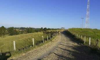 Imagem 4: Fazenda à venda, 3944600 m² por R$ 17.930.000,00 - Vila Nova Itapetininga - Itapetininga/S