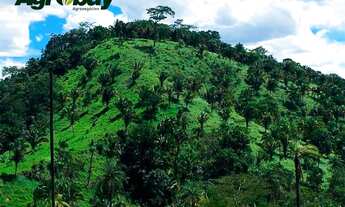 Imagem 7: Fazenda Localizada no Município de Niquelândia - go
