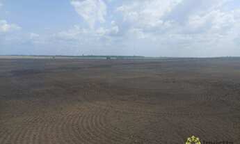 Imagem 4: Fazenda à venda, 315 Hectares- Zona Rural - Tailândia/PA