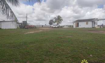 Imagem: Fazenda à venda, 315 Hectares- Zona Rural