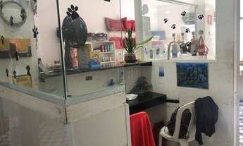 Imagem 6: Salão à venda - Jardim Elba - São Paulo/SP