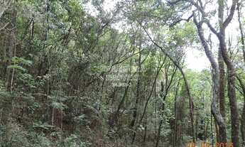 Imagem 2: Bela área de 77.000 m² com infraestrutura iniciada (Vende Separadamente