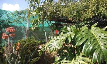 Imagem 3: Terreno com muito verde e Fonte de Agua