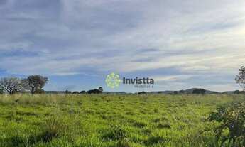 Imagem: Fazenda à venda, 2.463 Hectares em Aparecida