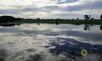 Imagem: Fazenda à venda, 376 Hectares em Gurupi/TO