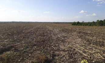 Imagem 7: Fazenda à venda, 4.800 Hectares em Goianorte/TO