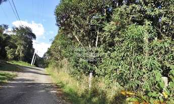 Imagem 3: Para os amantes da Natureza