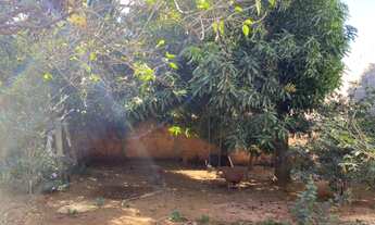 Imagem: Terreno lindo e barato no Oliveira II