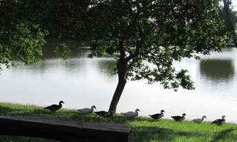 Imagem 6: Casa com 3 dormitórios à venda, 240 m² por R$ 2.200.000,00 - Paragem dos Verdes Campos - G