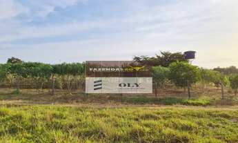 Imagem 7: Fazenda Extra - Região Goianésia-GO. São 24 Alqueires !