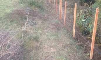 Imagem 3: Terreno de 3.000m² com água corrente