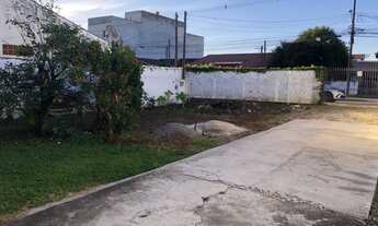 Imagem 4: Terreno a Venda 550m2 Bairro Vargem Grande Pinhais - Direto com o Proprietário