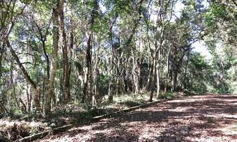 Imagem 4: Belíssimo Terreno no Residencial SAUSALITO!