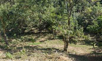 Imagem 2: Lote de terreno Terreno / lote com venda por R$10.000