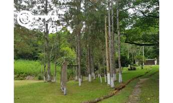 Imagem 7: Sitio a venda em Sete Barras-SP