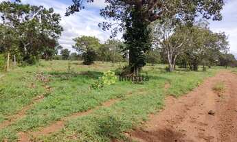 Imagem 5: Fazenda à venda, 575 Hectares em Paraíso do Tocantins