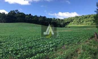 Imagem 7: SÍTIO DE 20 ALQUEIRES