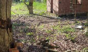 Imagem 6: Lote de 375 metros nos Cajueiros - Itaipuaçu!!!