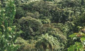 Imagem 4: Lote/Terreno para venda tem 1000 metros quadrados em Piedade do Paraopeba - Brumadinho - M