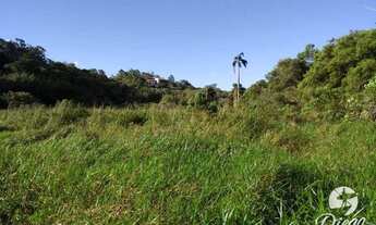 Imagem 3: Grande terreno próximo a Praia do Rosa