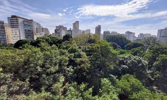 Imagem 5: Apto Reformado com vista permanente para o Parque Buenos Aires 181 mts em Higiienópolis