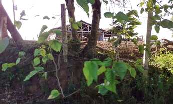 Imagem 2: Fazenda à venda, 3944600 m² por R$ 17.930.000,00 - Vila Nova Itapetininga - Itapetininga/S