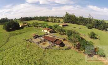 Imagem 7: Fazenda rural à venda