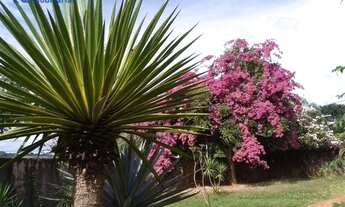 Imagem 6: Casa Estilo de Fazenda - Cond. Shangri-Lá - Bauru - SP