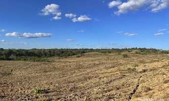 Imagem 7: Fazenda à venda, 610Ha (126 alqueires) - em Dois Irmãos do Tocantins-TO