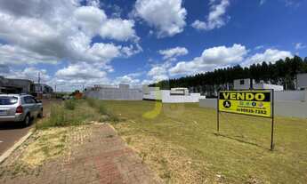 Imagem 3: Lote no tropical 3