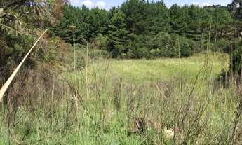 Imagem 7: Área rural de 44,3 hectares, localizada na cidade de Painel