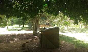 Imagem 2: Alugo sítio lindo dentro da cidade