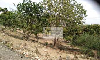 Imagem 7: Chácara com 3 dormitórios à venda, 4176 m² por R$ 370.000,00 - Chácara Itapoã - Jacareí/SP