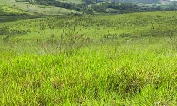 Imagem 3: G06-Terrenos com pagamento facilitado