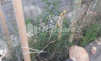 Imagem 6: Excelente casa de vila na Pedro Teles