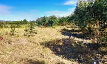 Imagem 6: Chácara à venda, próximo das praias e ótimo para plantio!<br>localizada em Passo de