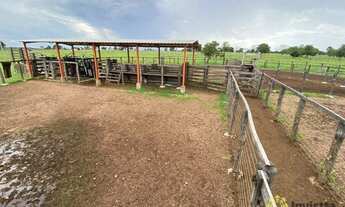 Imagem 2: Fazenda à venda de 720 Hectares em Araguacema do Tocantins
