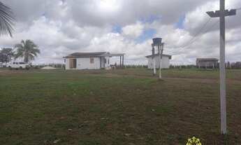 Imagem 5: Fazenda à venda, 315 Hectares- Zona Rural - Tailândia/PA