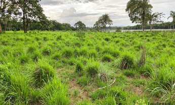 Imagem: Fazenda à venda, 400 Hectares em Miracema