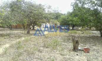 Imagem 6: CHÁCARA COM 3,9 TAREFAS EM JAIBA