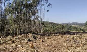 Imagem 3: Excelente preços consulte