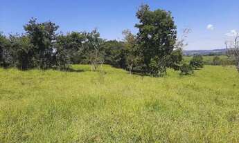 Imagem 3: .. Uma Excelente Fazenda 59 alqueires 42 km do município de Porto Nacional TO