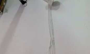 Imagem 4: Vendo açougue com Câmara de 3 por 4