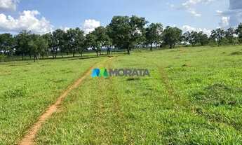 Imagem 2: CURVELO - Fazenda - Zona Rural