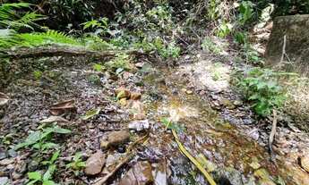 Imagem 5: Maravilhoso Sítio | 24ha | Nascente e Lagoa